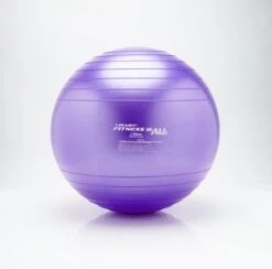 Loumet Pro Fitball 6 Loumet Pro Fitball -Elite Fitness Store Loumet Pro Fitball Purple 1