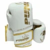 BOXING GLOVES - Urban™ RAPTA - 12oz